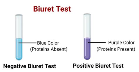 biuret test pronunciation|How to pronounce biuret test .